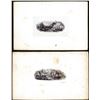 Image 1 : Lot of (2) 1800's Vignette from Original Proof Plates