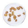 Image 1 : Lot of Gold Nuggets 2.58 Grams Total Weight
