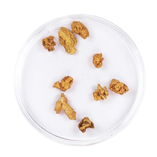 Lot of Gold Nuggets 3.61 Grams Total Weight