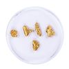 Image 1 : Lot of Gold Nuggets 2.94 grams Total Weight