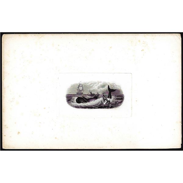 American Bank Note Co. 'Capsized Boat' Whale Harpooner Vignette