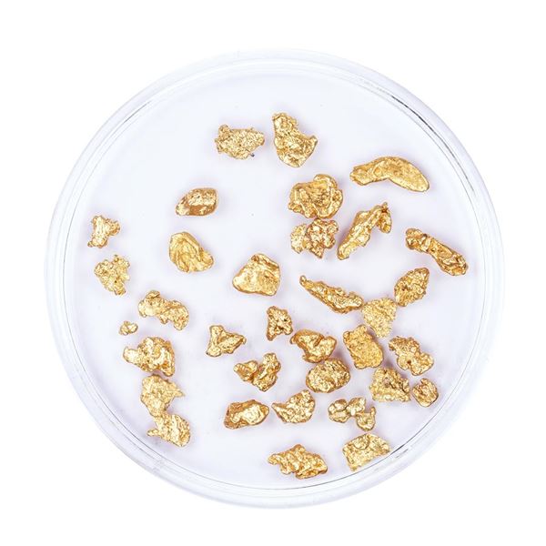Lot of Gold Nuggets 3.22 Grams Total Weight