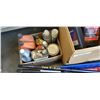 Image 2 : Lot of various Automotive fluids and struts