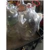 Image 2 : 4 GLASS CARBOYS
