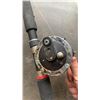 Image 3 : Shimano Triton heavy duty special 7 foot rod with Daiwa level wind reel