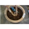 Image 2 : TROPICAL TREE IN PLANTER