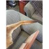 Image 3 : KANGAROO SKIN 53 INCHES FROM TIP OF TAIL