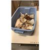Image 1 : Large tote of various seashells