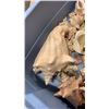 Image 3 : Large tote of various seashells