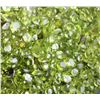 Image 4 : Natural Peridot 50 carats - Untreated