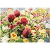 Image 1 : Perla Fox- Original Serigraph "Dahlias"