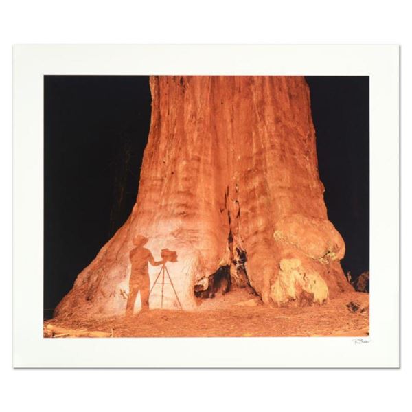 Robert Sheer, "Young Ansel at the Sequoias" Limited Edition Single Exposure Photograph, Numbered and