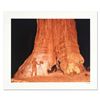 Image 1 : Robert Sheer, "Young Ansel at the Sequoias" Limited Edition Single Exposure Photograph, Numbered and