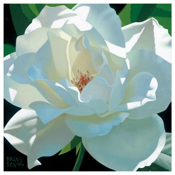 Brian Davis,  Rose In The Shadows  Limited Edition Giclee on Canvas, Numbered and Hand Signed with C