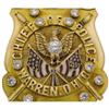 Image 3 : Superb Chief of Police Warren, Ohio Badge