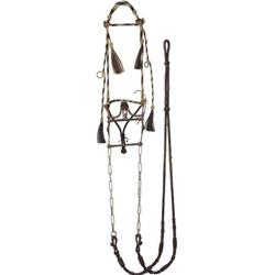 Horsehair Headstall with Santa Barbara Bit: Rou