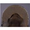 Image 4 : DECORATIVE STUDDED SADDLE: Made to resemble an