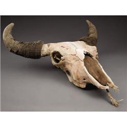 LARGE OLD AMERICAN BUFFALO SKULL/BISON The Bis