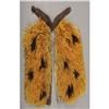 Image 1 : SPECTACULAR WOOLIE CHAPS BY POWER OF PENDELTON,