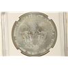 Image 2 : 2013 AMERICAN SILVER EAGLE NGC MS70 1ST RELEASES