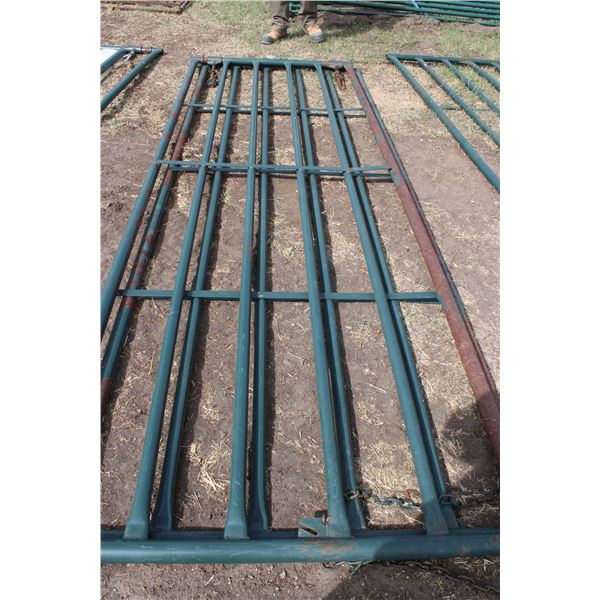 (2 X THE MONEY) 11 1/2' Steel Gates