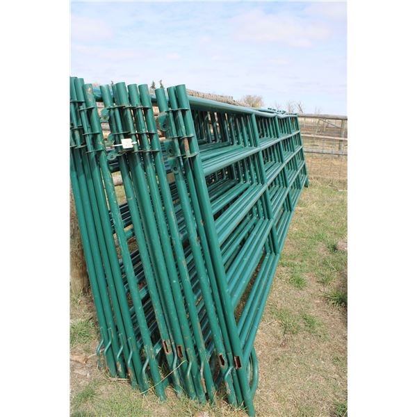 (13 X THE MONEY) 19' Metal Panels