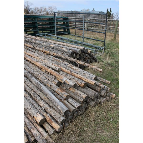 Wooden Rail and Metal Posts