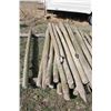 Image 3 : Treated Fence Posts