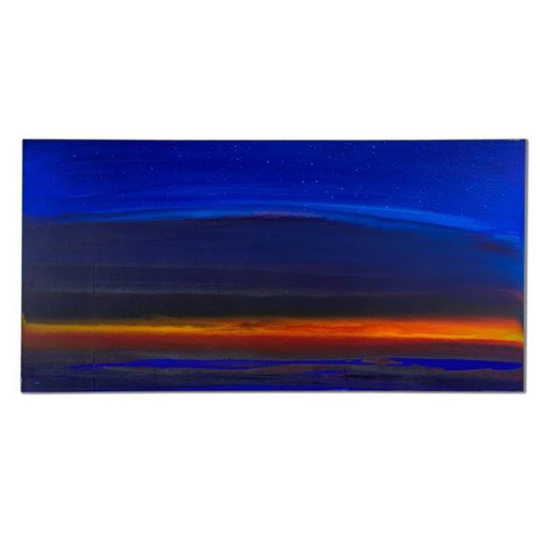 Night Sky by Wyland Original