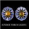 Image 1 : Natural White Opal & Tanzanite Earrings