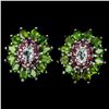 Image 1 : Natural Aquamarine Ch-Diopside Rhodolite Garnet EarRing