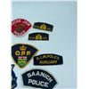 Image 2 : Nice Lot of Vintage Police Patches