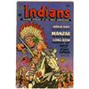 Image 1 : Indians #1 (Fiction House, 1950) Condition: VG.