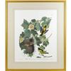 Image 2 : An Audubon Double Elephant Folio Print: Baltimo