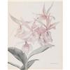 Image 1 : GLORIA ERICKSENPair of OrchidsLithographs, matte