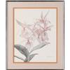 Image 3 : GLORIA ERICKSENPair of OrchidsLithographs, matte