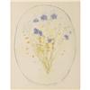 Image 1 : MARY ANN WENNIGERBrowalia BouquetPrint on paper,