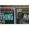 Image 2 : Man-Thing 3 4