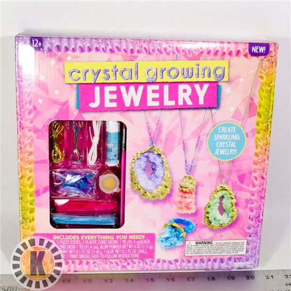 CRYSTAL GROWING JEWELRY KIT