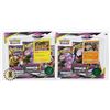 Image 1 : x2 POKEMON 3 BLISTER PACKS, COIN CARD NEW