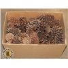 Image 1 : BOX OF DIFFERENT SIZE PINECONES
