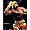 Image 1 : HULK HOGAN SIGNED PHOTO (FROZEN POND COA)