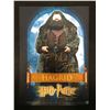 Image 1 : ROBBIE COLTRANE SIGNED PHOTO (REAL AUTHENTIC COA)
