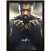 Image 1 : CHADWICK BOSEMAN SIGNED PHOTO (REAL AUTHENTIC COA)