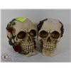 Image 1 : LOT OF 2 BONE SKELETON HEADS