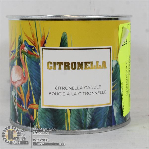 140G CITRONELLA CANDLE IN METAL POT