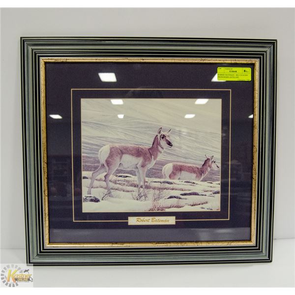 ROBERT BATEMAN - BIG COUNTRY PRONGHORN ANTELOPE