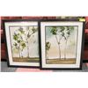 Image 1 : PAIR OF FRAMED TREE PICTURES