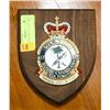 Image 1 : 417 RCAF SQUADRON PLAQUE