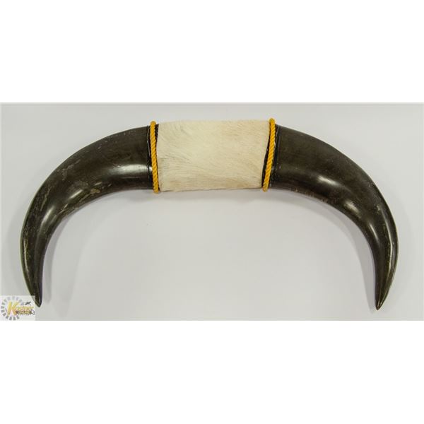 FUR WRAPPED ASIAN WATER BUFFALO HORNS. TAG READS